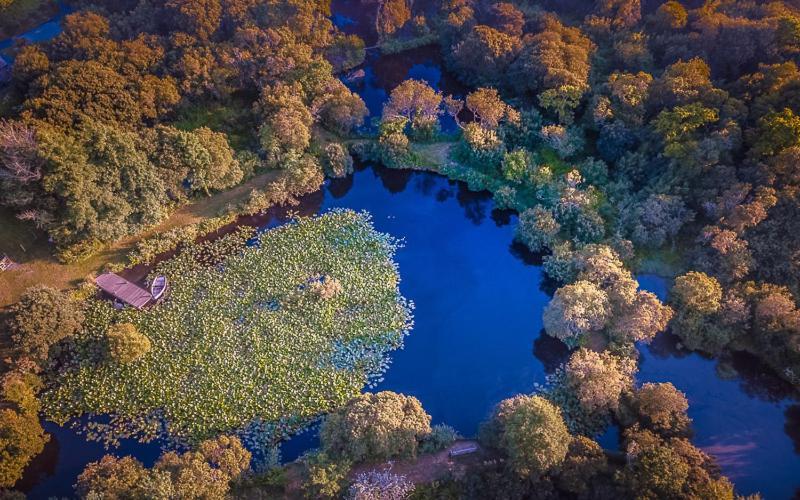Trecombe Lakes Камборн Экстерьер фото