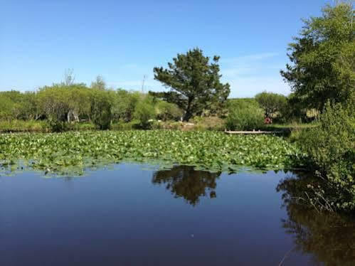 Trecombe Lakes Камборн Экстерьер фото